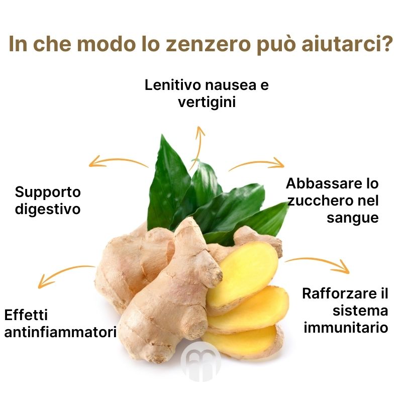 (Italština) Jak nám zázvor může prospět